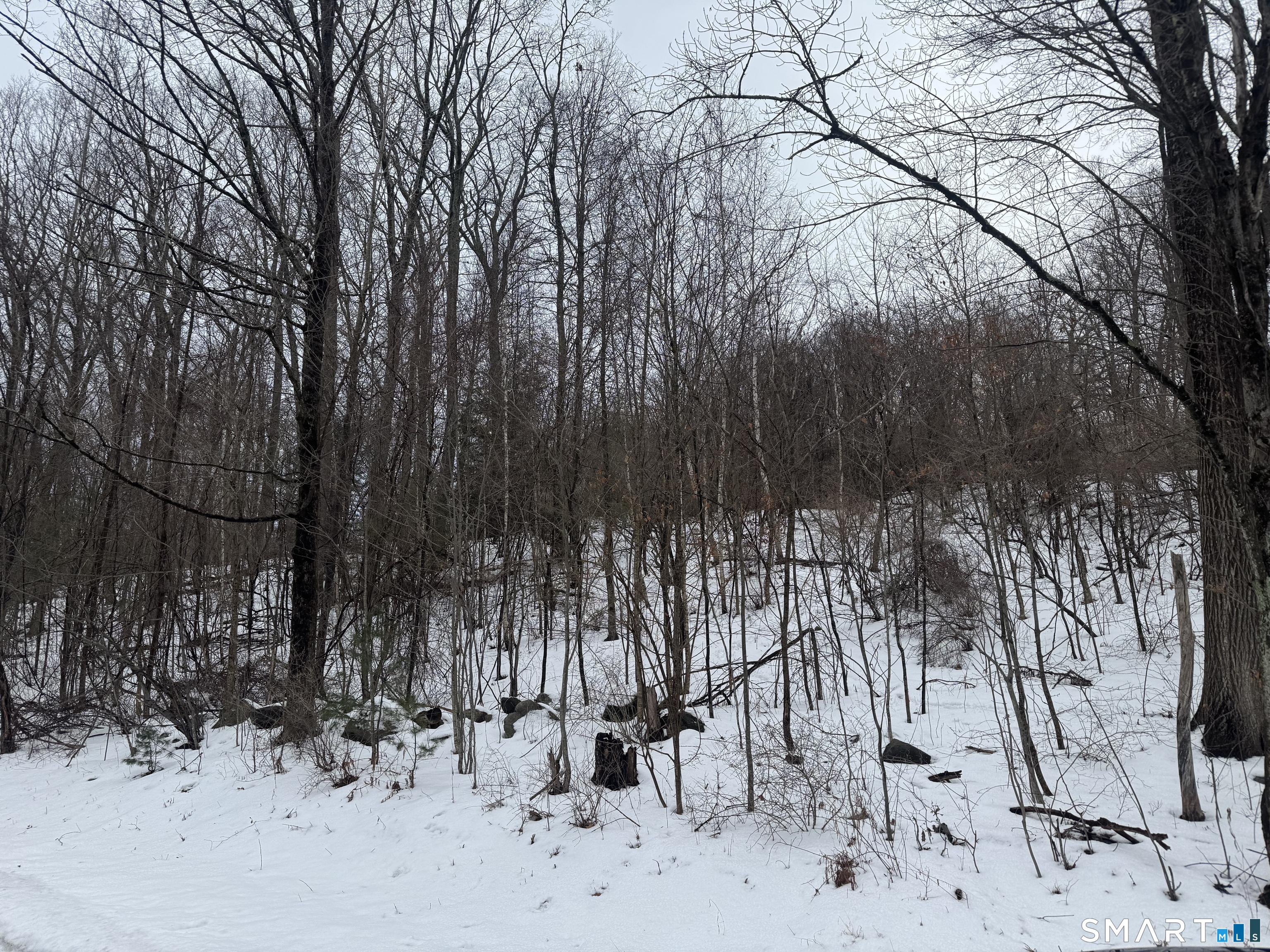 Homes for sale in Morris, CT | 262 Stoddard Rd, Morris, CT 06763 | MLS# 24147510