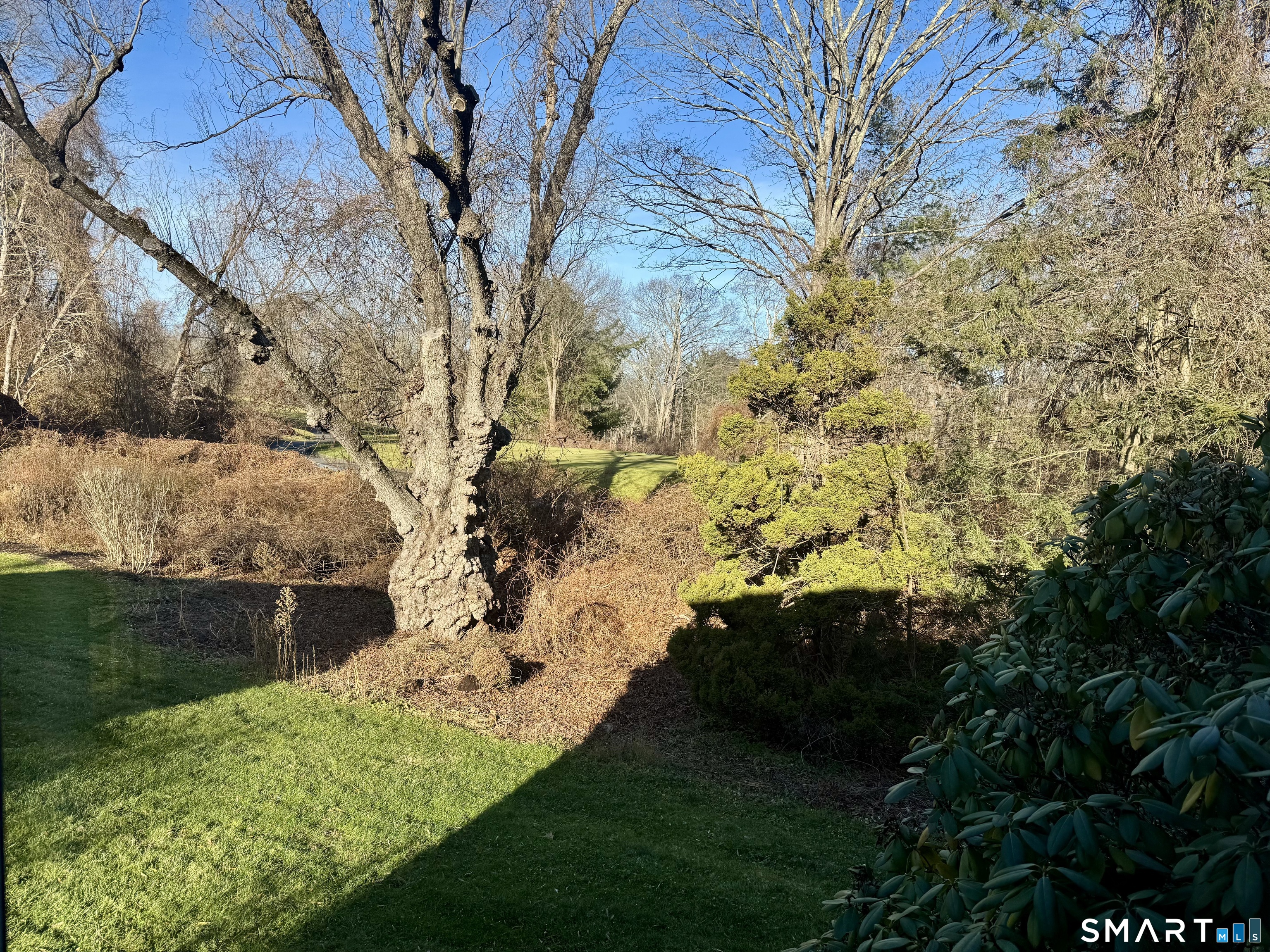 Homes for sale in Southbury, CT | 238 Heritage Vlg #A, Southbury, CT 06488 | MLS# 24147770