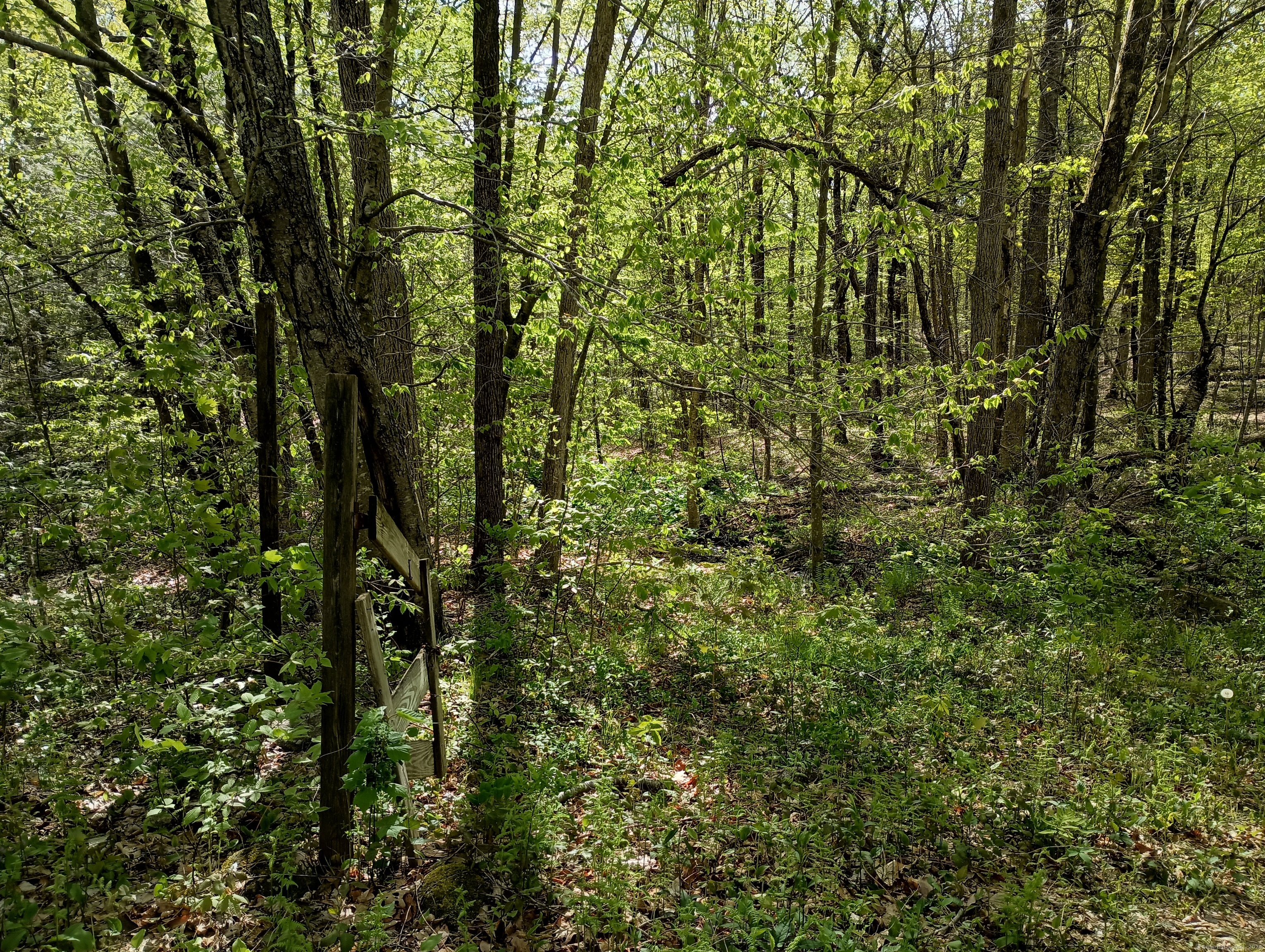 Homes for sale in Watertown, CT | Litchfield Rd, Watertown, CT 06795 | MLS# 24148536