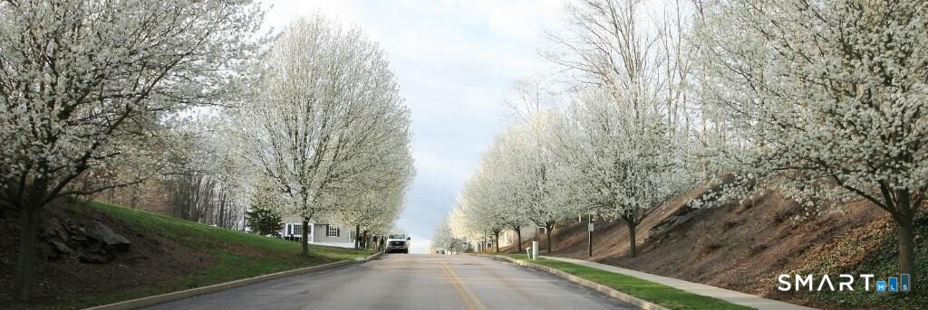   Click for more details  