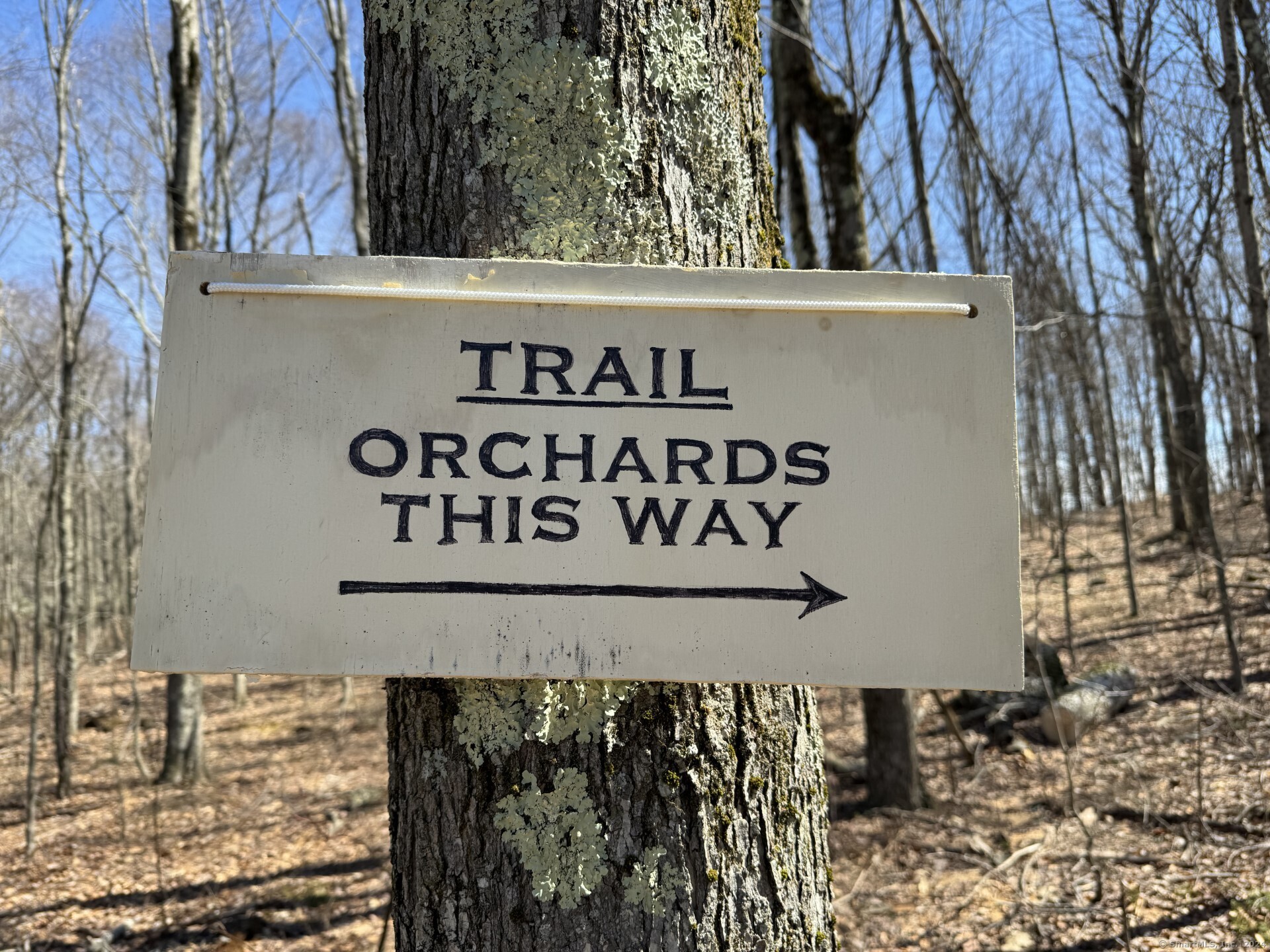 Homes for sale in Washington, CT | 96 Kinney Hill Rd, Washington, CT 06777 | MLS# 24148829