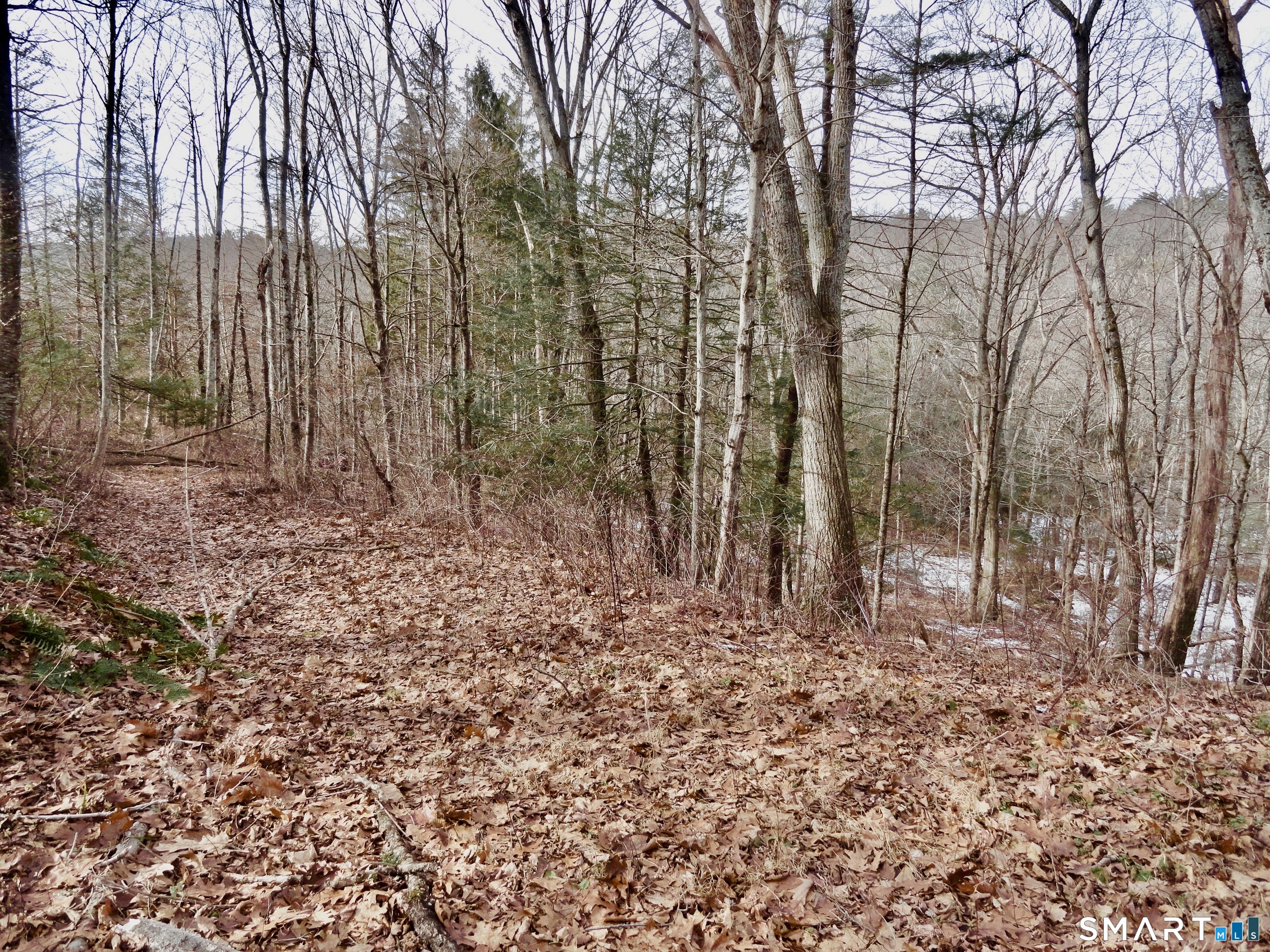 Photo 38 of 50 Cherry Brook Road, Canton, CT