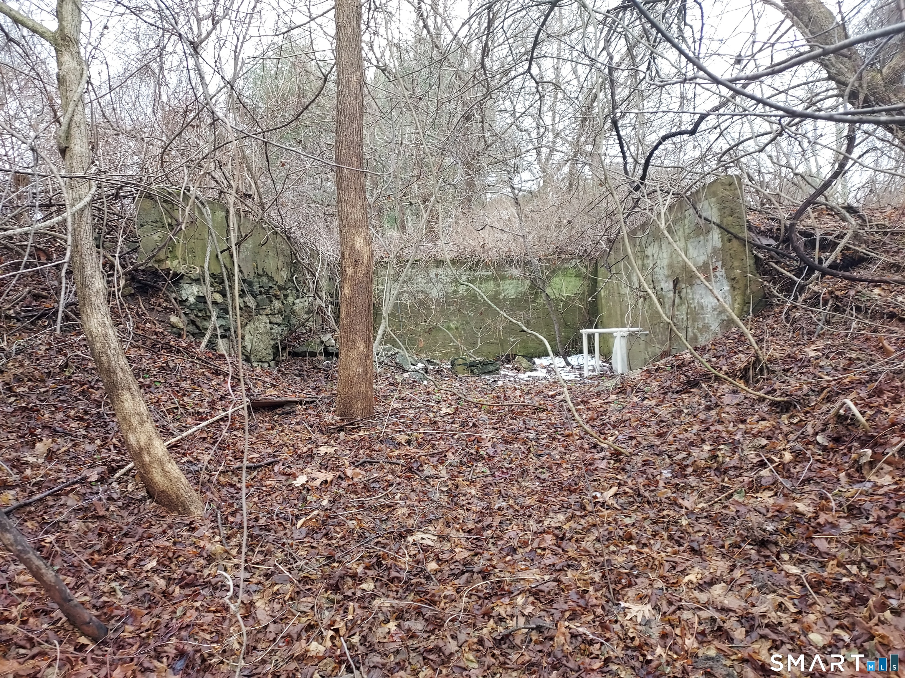 Photo 4 of 8 Times Farm Road, Andover, CT