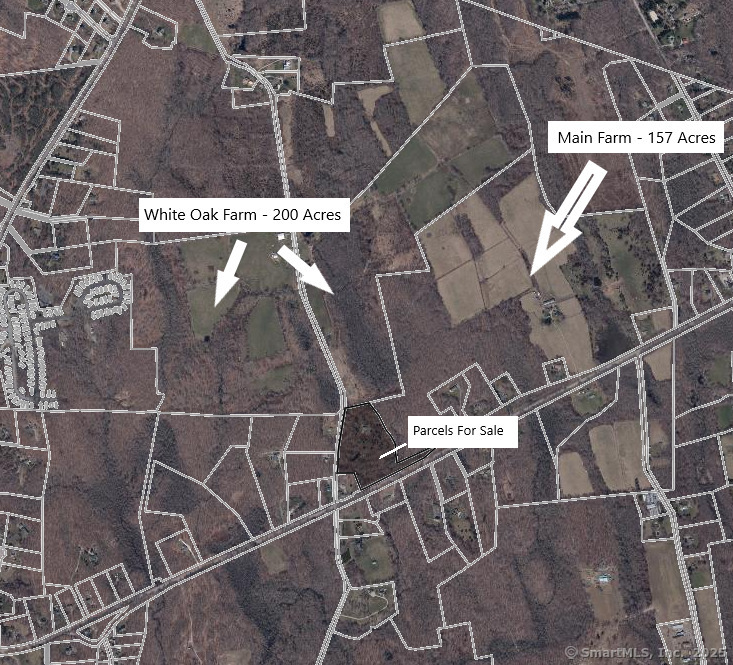 Homes for sale in Stonington, CT | 550 Al Harvey Rd, Stonington, CT 06378 | MLS# 24149519