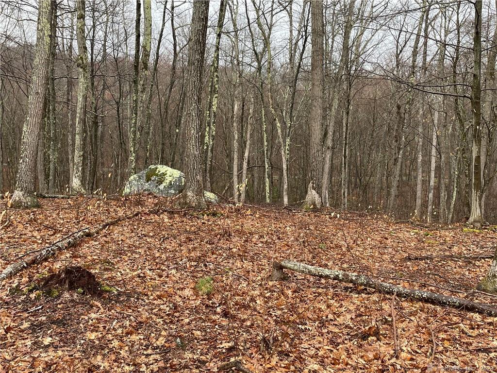 Homes for sale in Sharon, CT | Westwoods Rd # 2, Sharon, CT 06069 | MLS# 24149597