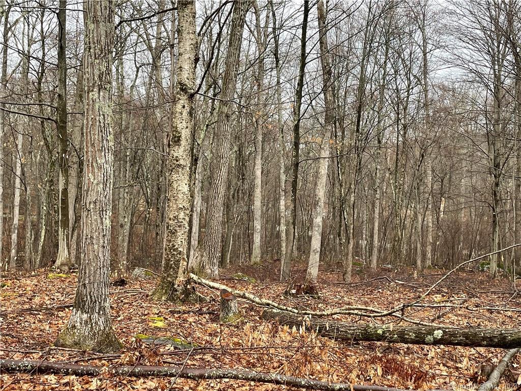 Homes for sale in Sharon, CT | Westwoods Rd # 2, Sharon, CT 06069 | MLS# 24149597