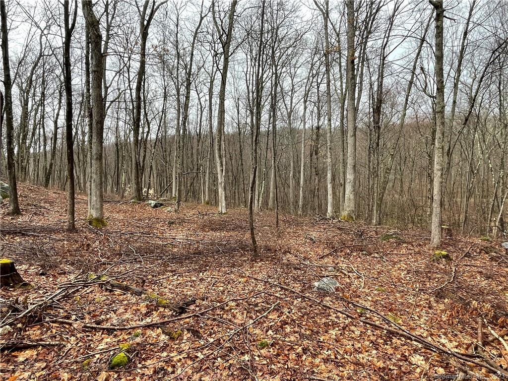 Homes for sale in Sharon, CT | Westwoods Rd # 2, Sharon, CT 06069 | MLS# 24149597