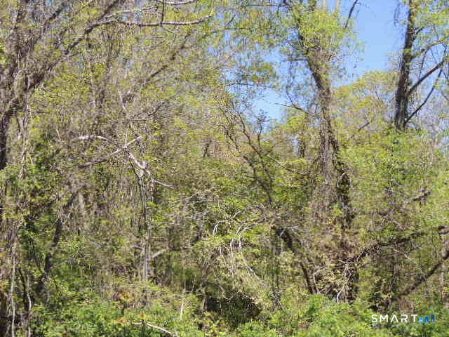 Homes for sale in West Haven, CT | 47,47r,63,65r Coleman St, West Haven, CT 06516 | MLS# 24149548