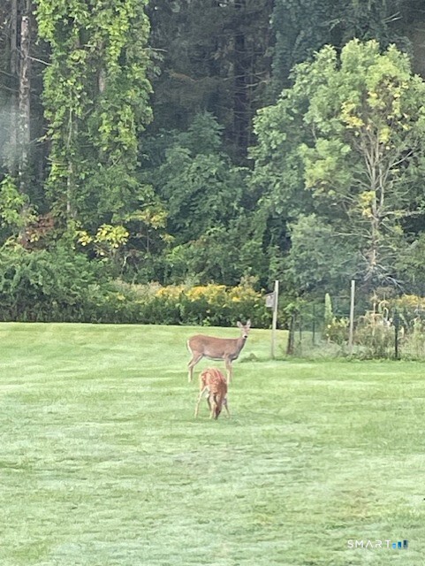 Homes for sale in Torrington, CT | 1769 Goshen Rd, Torrington, CT 06790 | MLS# 24149589