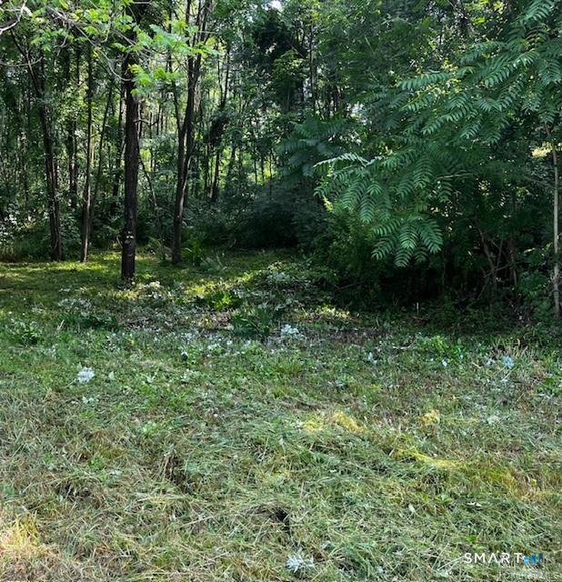 Homes for sale in Hyde Park, NY | (Undisclosed), Hyde Park, NY 12538 | MLS# 24149942