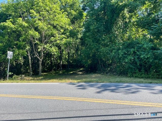 Homes for sale in Hyde Park, NY | (Undisclosed), Hyde Park, NY 12538 | MLS# 24149942