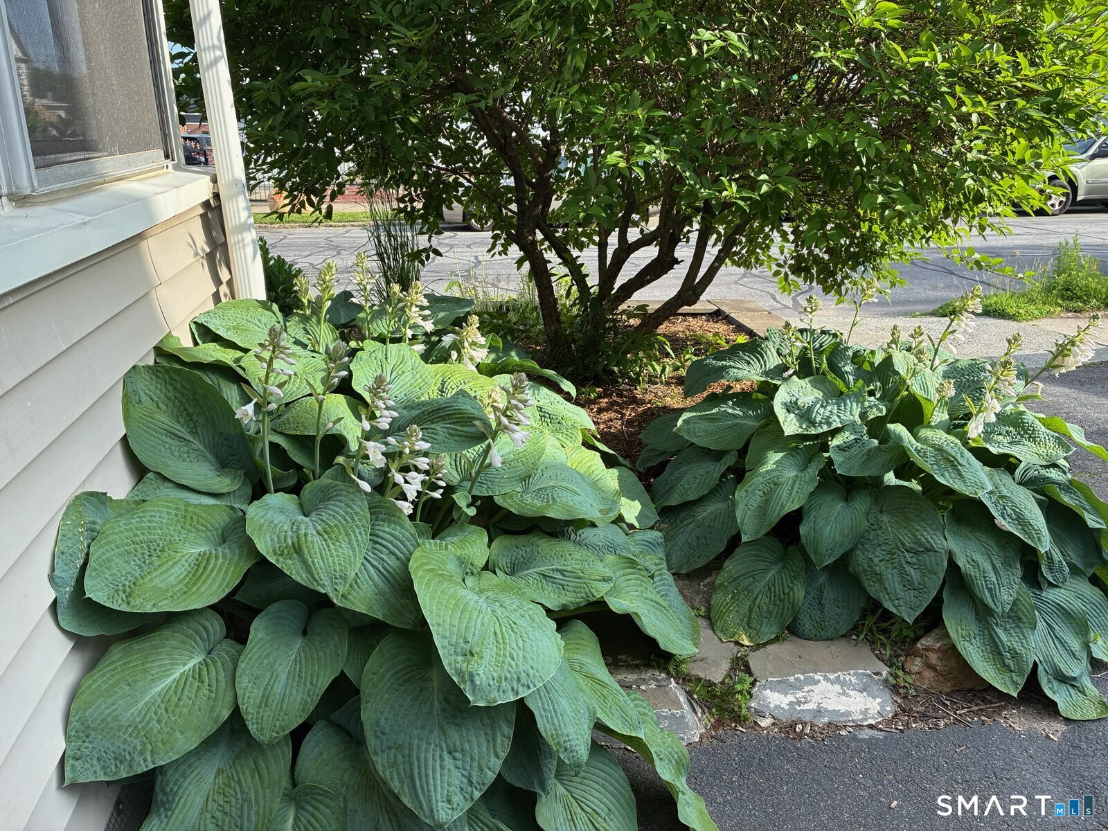 Homes for sale in Bridgeport, CT | 287 Hansen Ave, Bridgeport, CT 06605 | MLS# 24149860