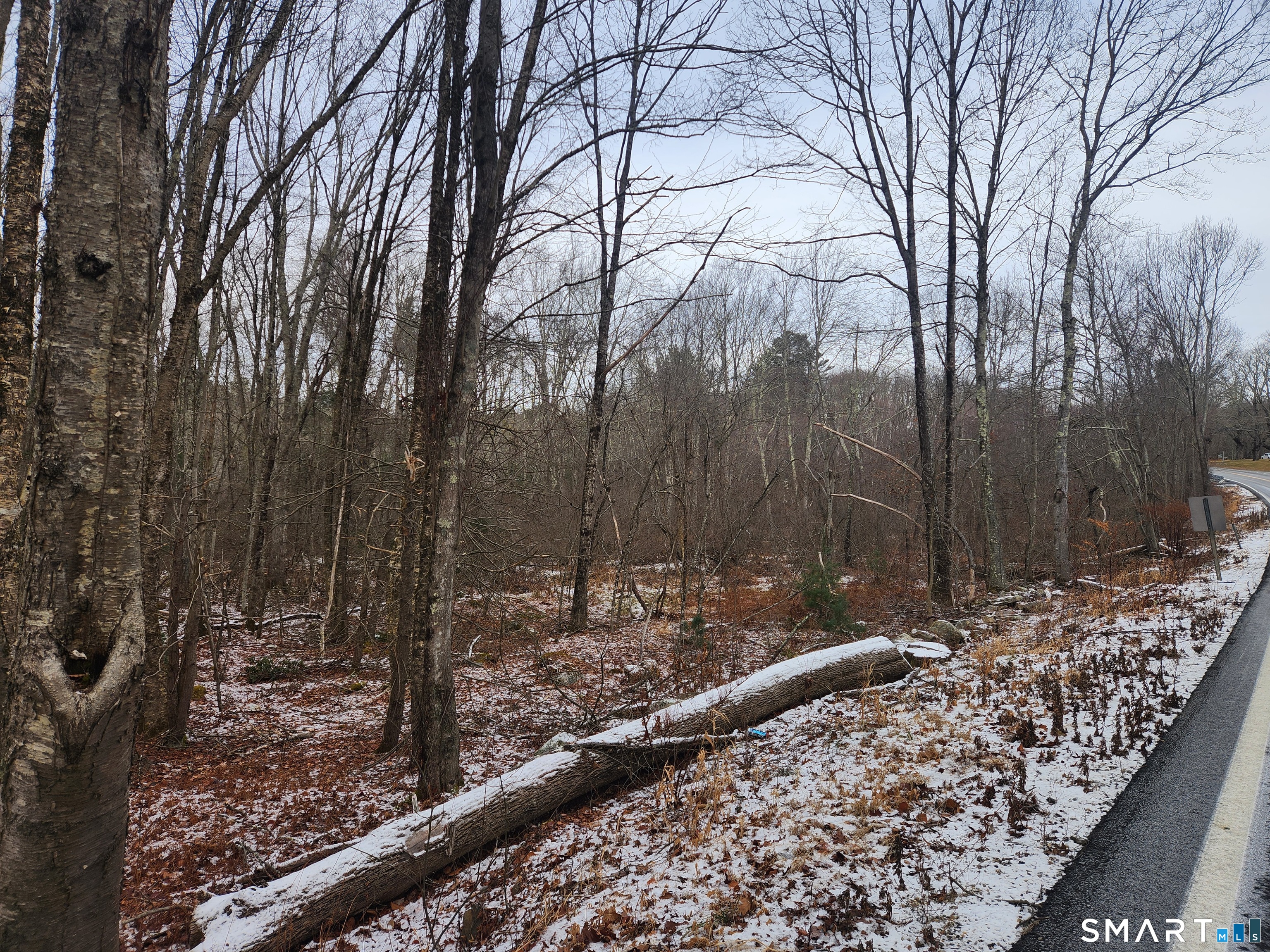 Lyon Hill, Woodstock, 06281, 0 , 0 ,0,Lots And Land For Sale,For Sale,Lyon Hill,0,24150186