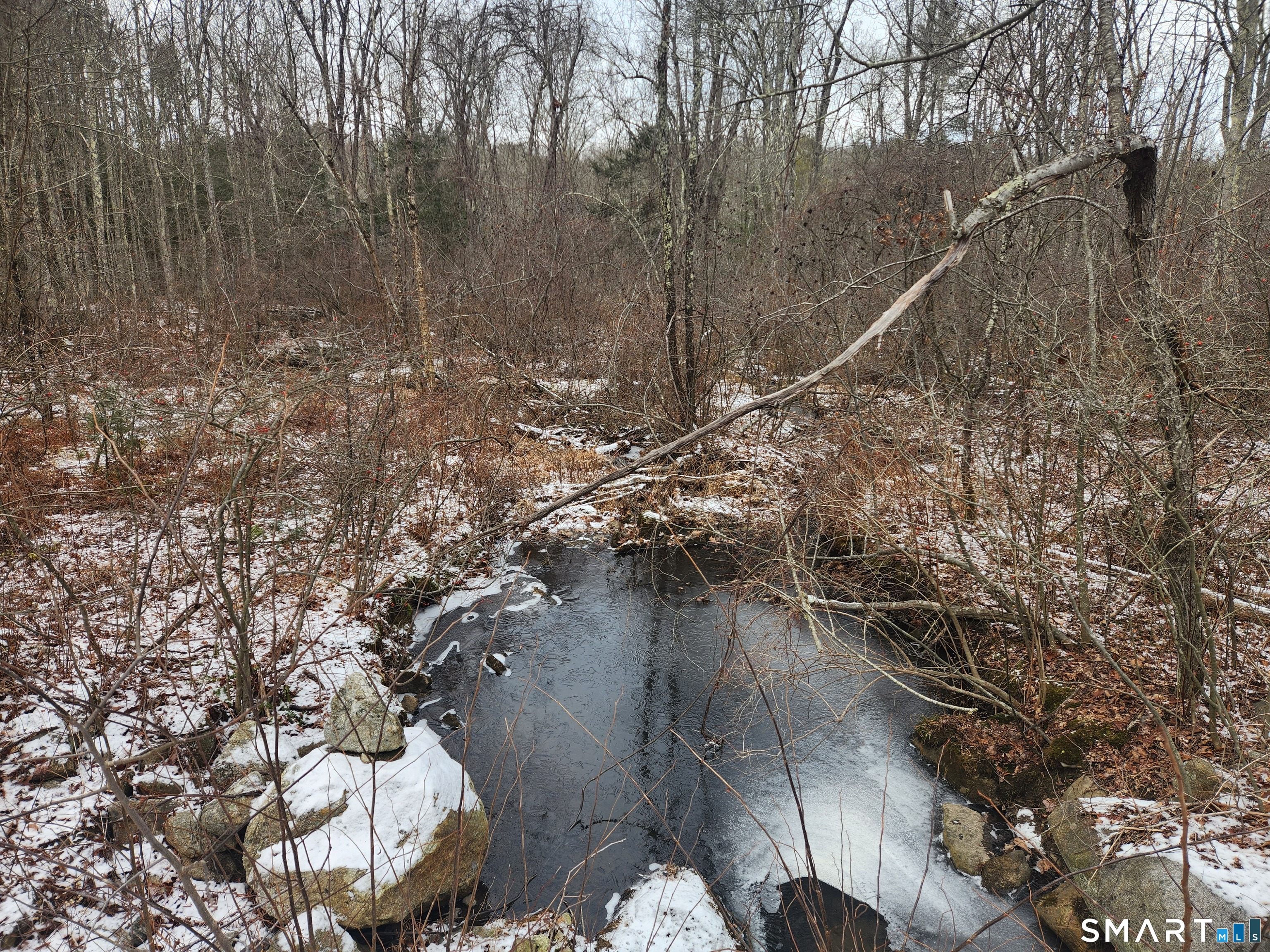 Lyon Hill, Woodstock, 06281, 0 , 0 ,0,Lots And Land For Sale,For Sale,Lyon Hill,0,24150186