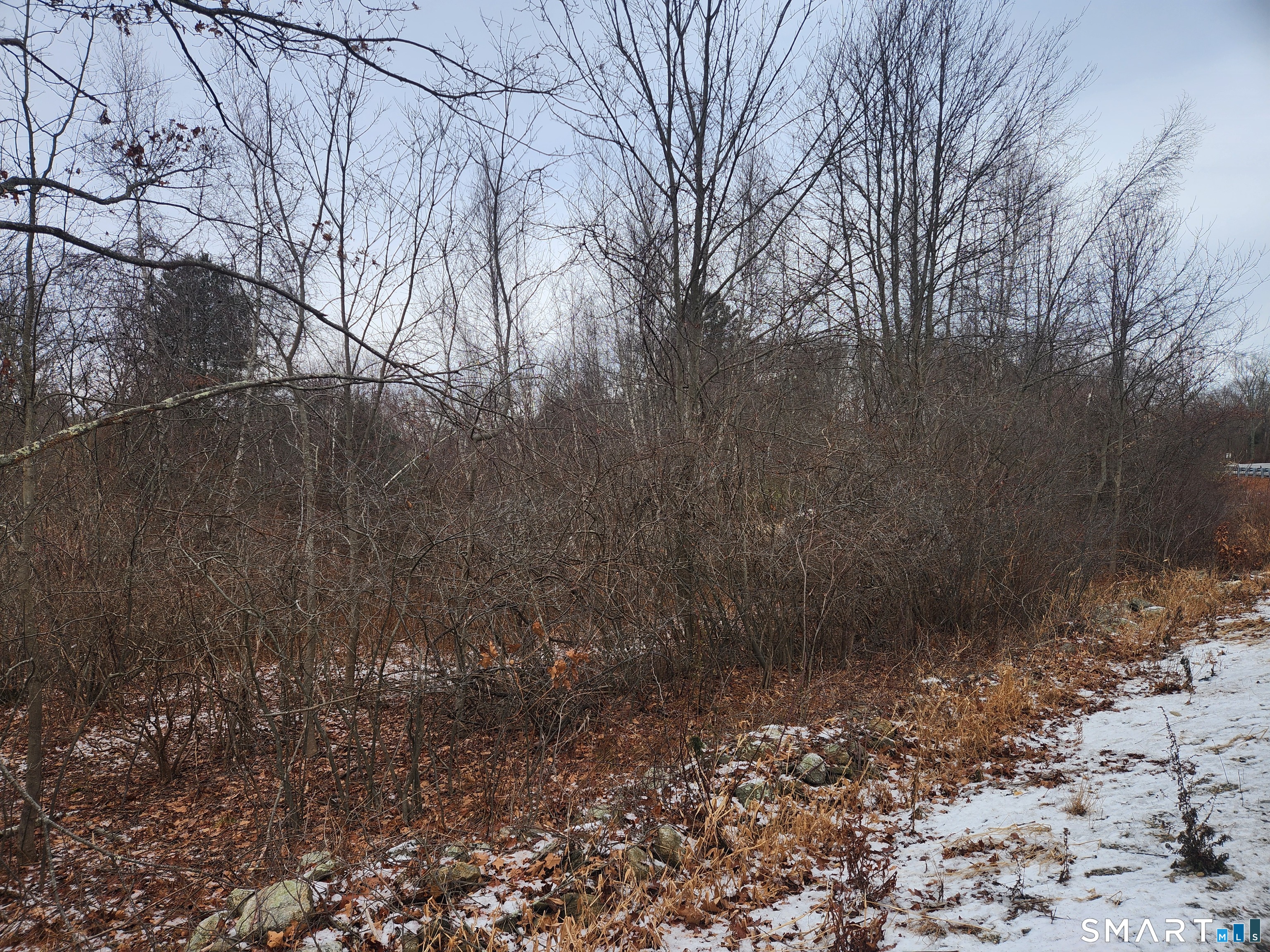 Lyon Hill, Woodstock, 06281, 0 , 0 ,0,Lots And Land For Sale,For Sale,Lyon Hill,0,24150186