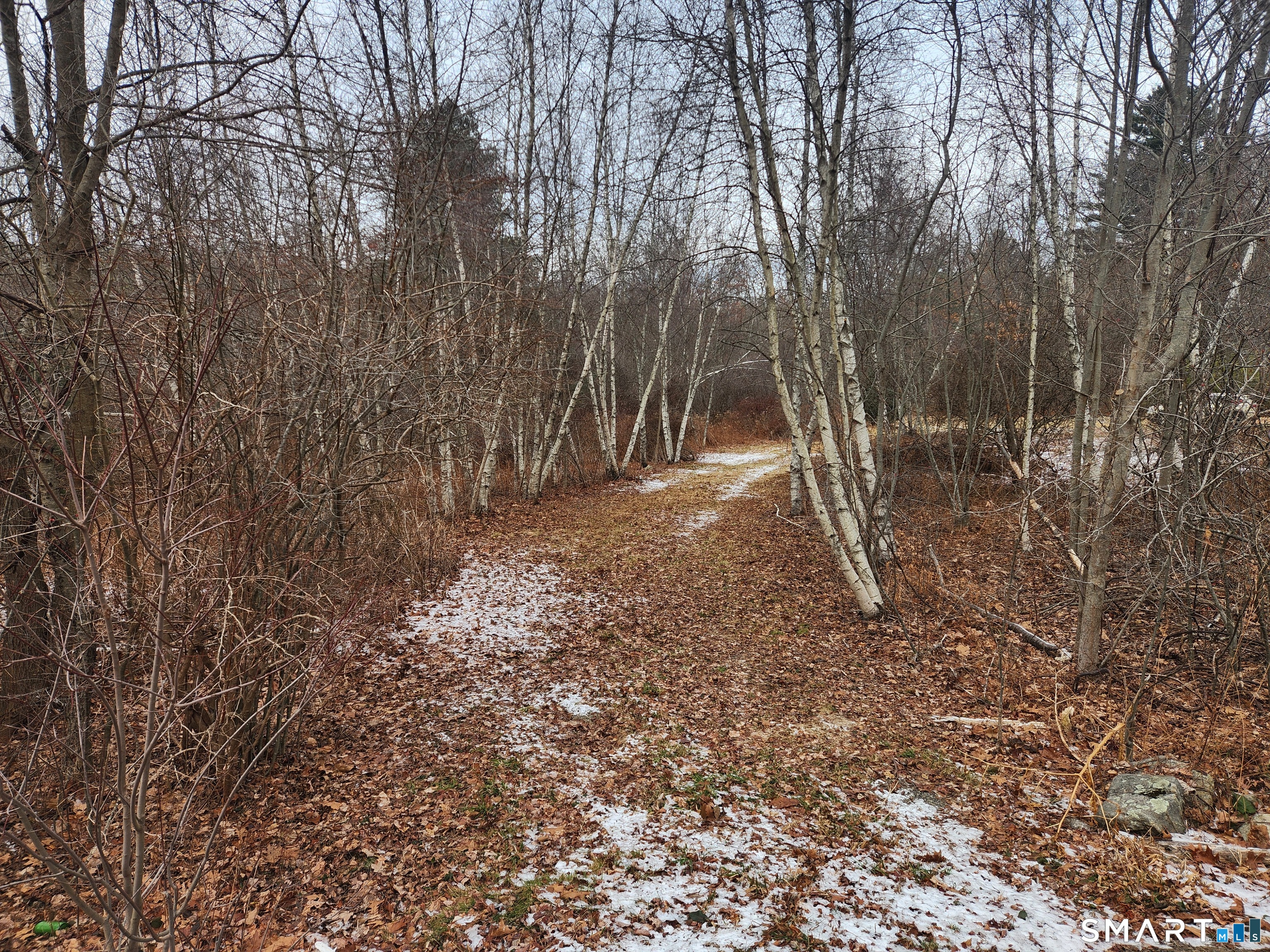 Lyon Hill, Woodstock, 06281, 0 , 0 ,0,Lots And Land For Sale,For Sale,Lyon Hill,0,24150186