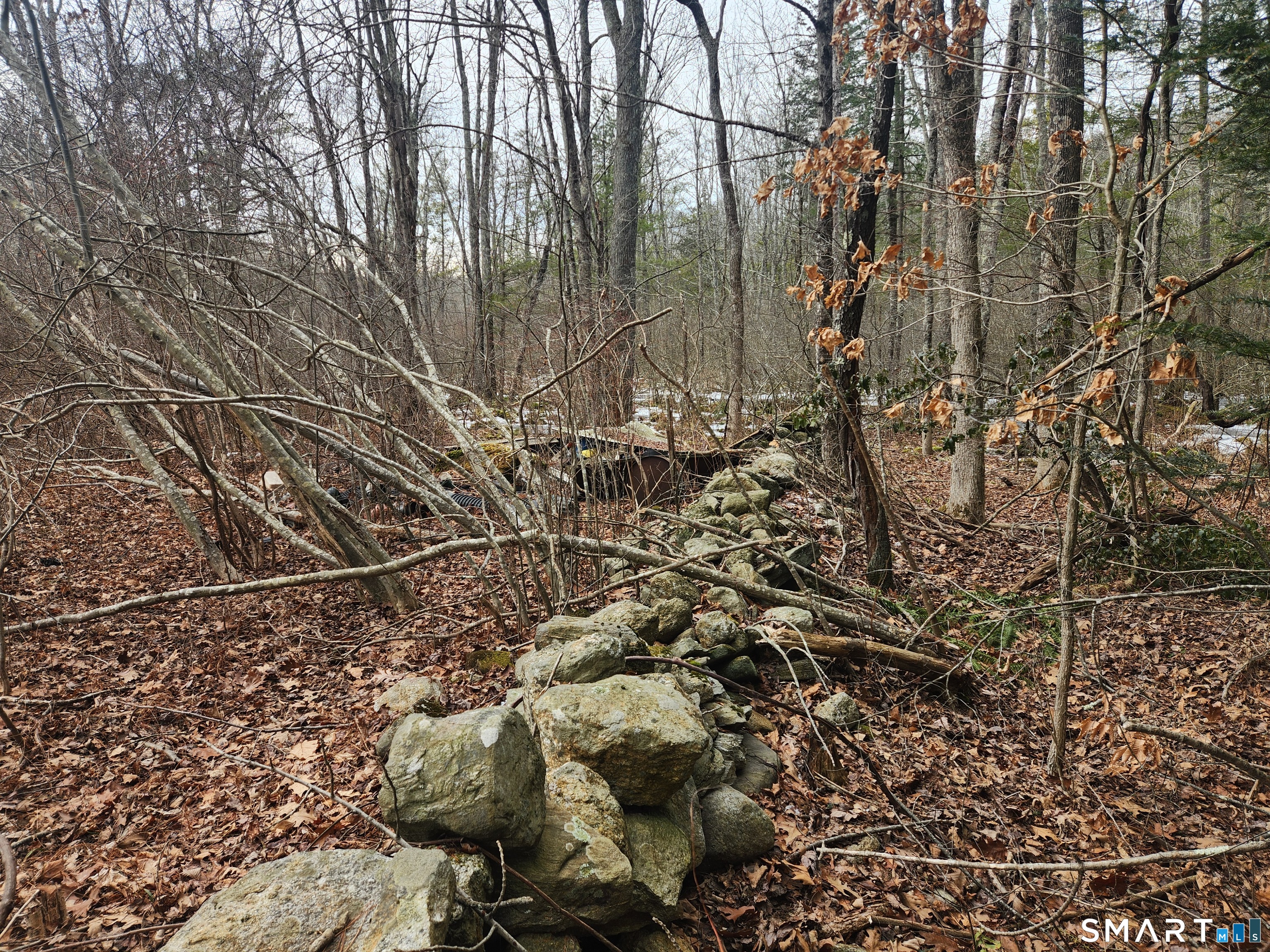 Lyon Hill, Woodstock, 06281, 0 , 0 ,0,Lots And Land For Sale,For Sale,Lyon Hill,0,24150186