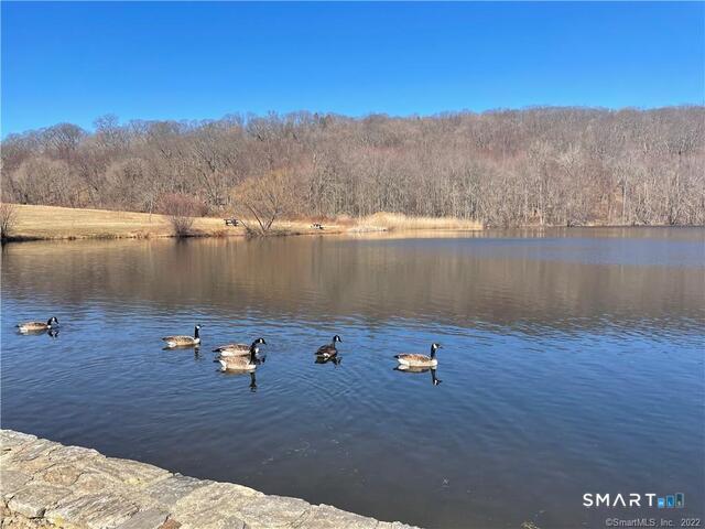 61 8th, Derby, 06418, 4 Bedrooms Bedrooms, 0 ,2 BathroomsBathrooms,Multi-family For Sale,For Sale,8th,0,24150295