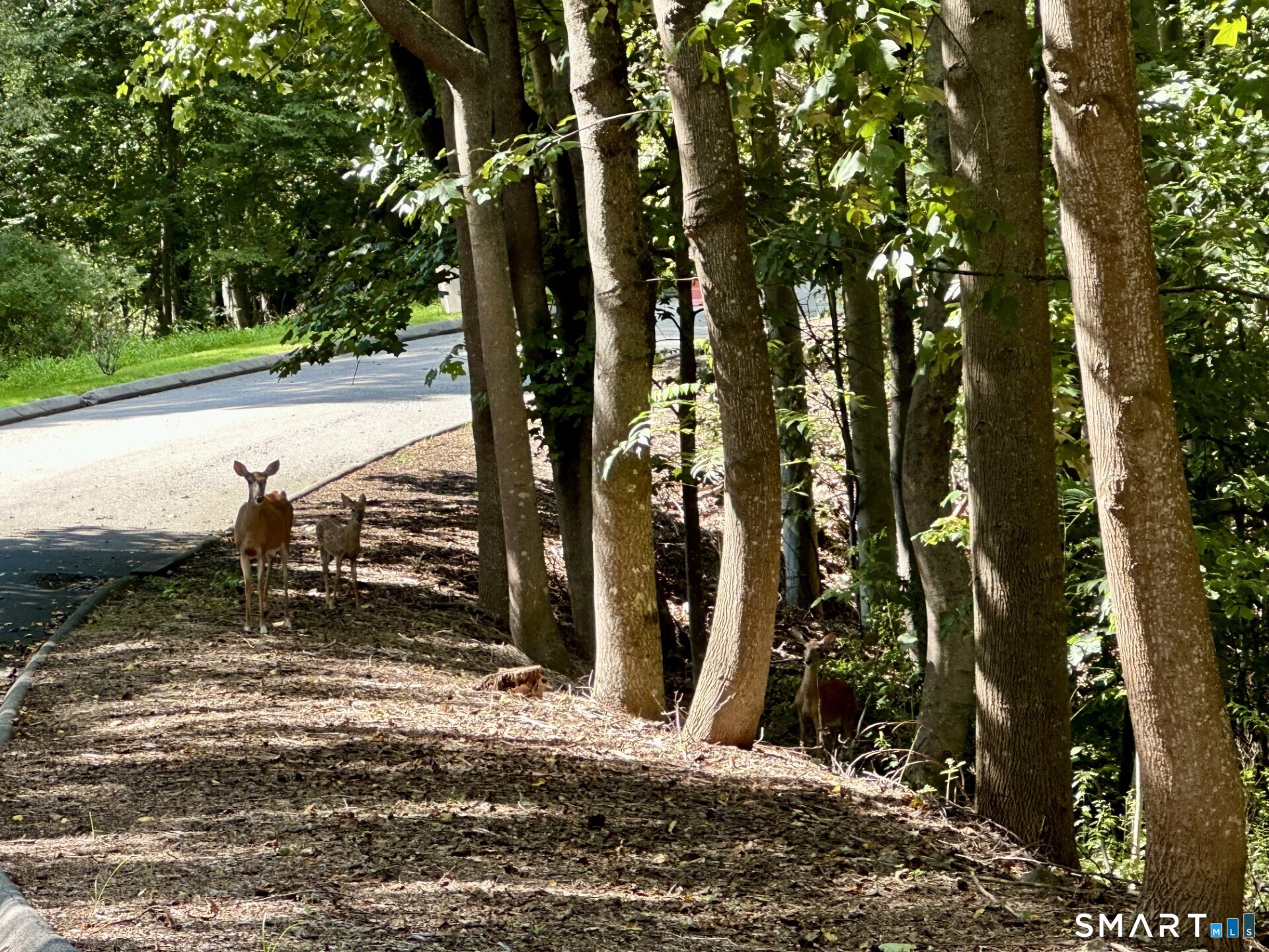 Photo 15 of 6A South Brook Drive, Stamford, CT