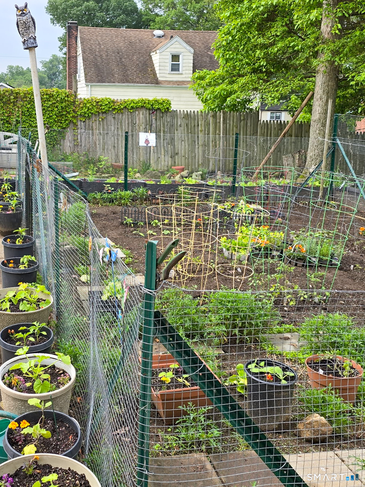 235 Burnsford, Bridgeport, 06606, 3 Bedrooms Bedrooms, 0 ,1 BathroomBathrooms,Single Family For Sale,For Sale,Burnsford,0,24151443