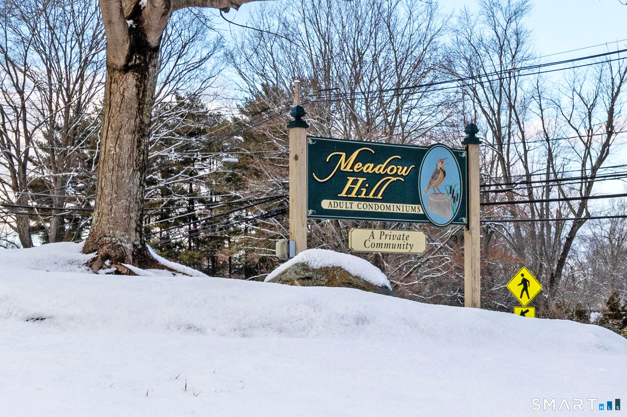 Homes for sale in Glastonbury, CT | 159 Hollister Wy N #159, Glastonbury, CT 06033 | MLS# 24150036