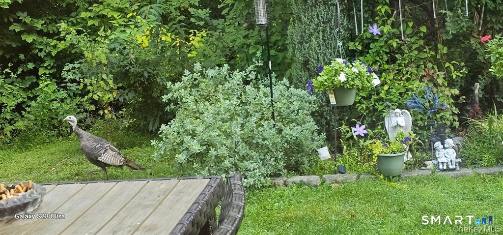 53 Jefferson, Yorktown, 10598, 2 Bedrooms Bedrooms, 0 ,2 BathroomsBathrooms,Condo/co-op For Sale,For Sale,Jefferson,0,24151605