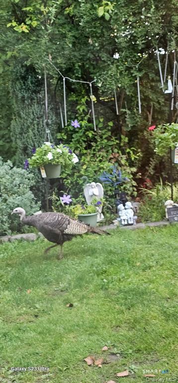 53 Jefferson, Yorktown, 10598, 2 Bedrooms Bedrooms, 0 ,2 BathroomsBathrooms,Condo/co-op For Sale,For Sale,Jefferson,0,24151605