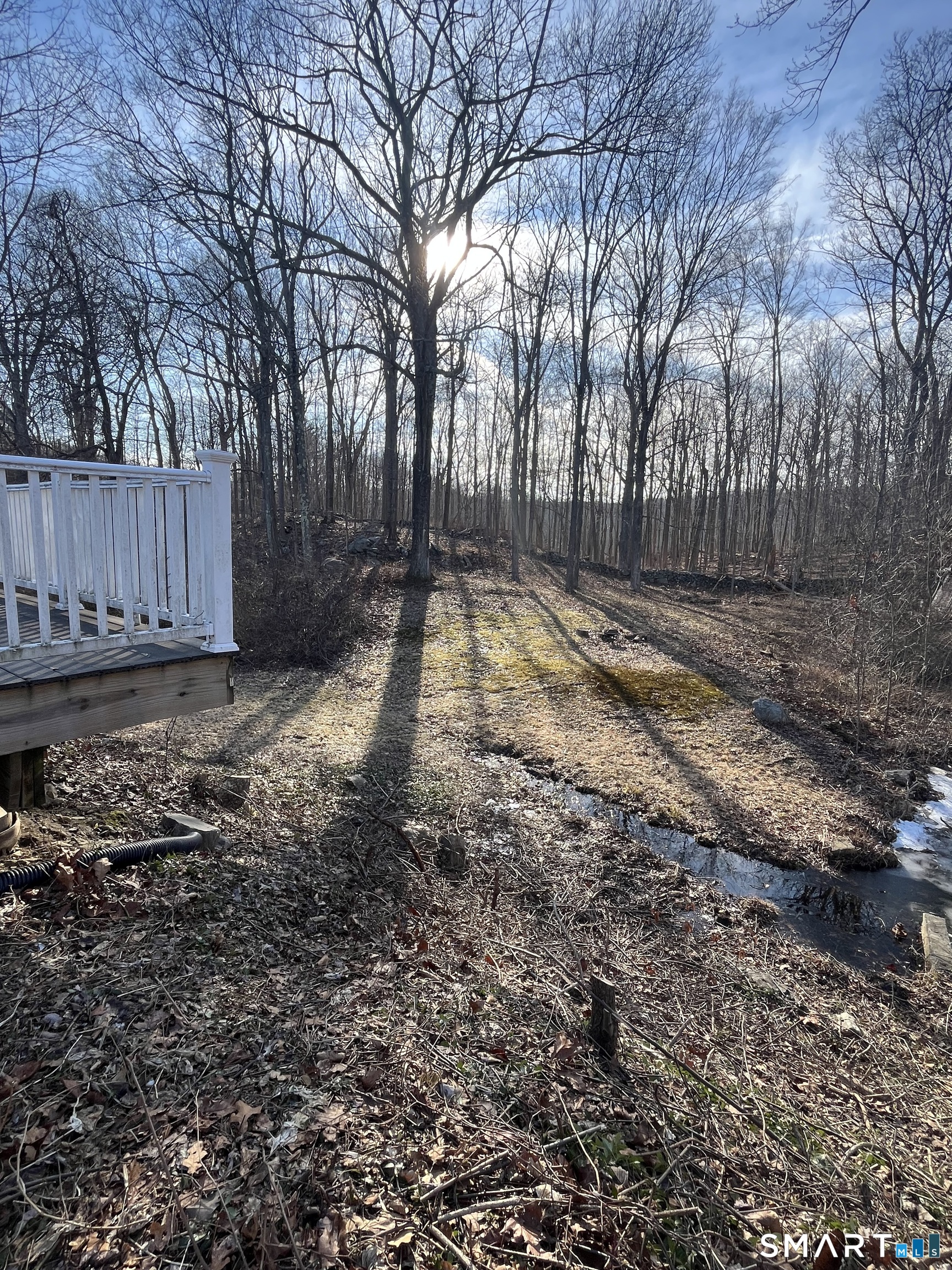 81 Black Rock, Redding, 06896, 4 Bedrooms Bedrooms, 0 ,2 BathroomsBathrooms,Residential Rental,For Sale,Black Rock,0,24151918