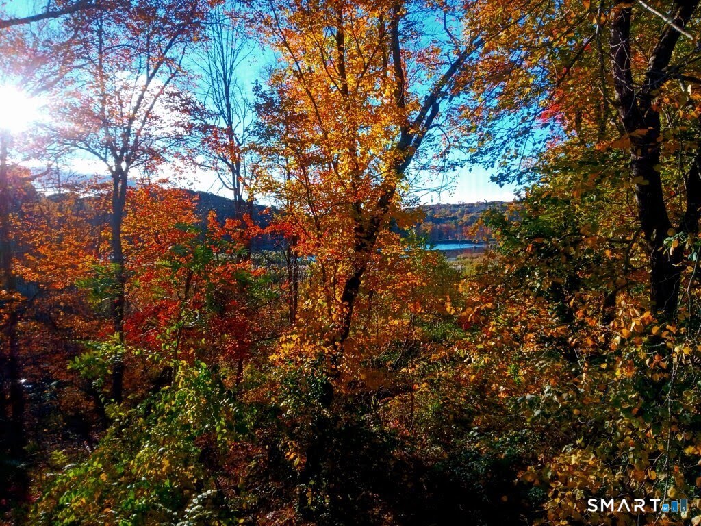 Homes for sale in New Fairfield, CT | 36 Bigelow Rd, New Fairfield, CT 06812 | MLS# 24151046