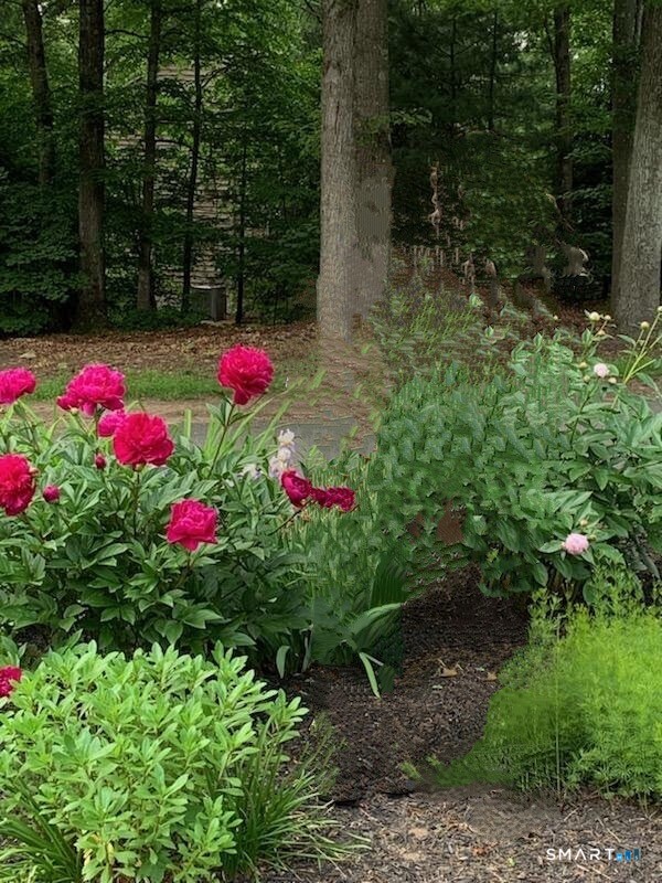 14 Meadow Crest, Woodbury, 06798, 3 Bedrooms Bedrooms, 0 ,1 BathroomBathrooms,Single Family For Sale,For Sale,Meadow Crest,0,24149855