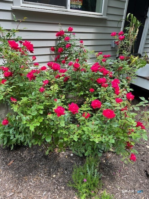 14 Meadow Crest, Woodbury, 06798, 3 Bedrooms Bedrooms, 0 ,1 BathroomBathrooms,Single Family For Sale,For Sale,Meadow Crest,0,24149855