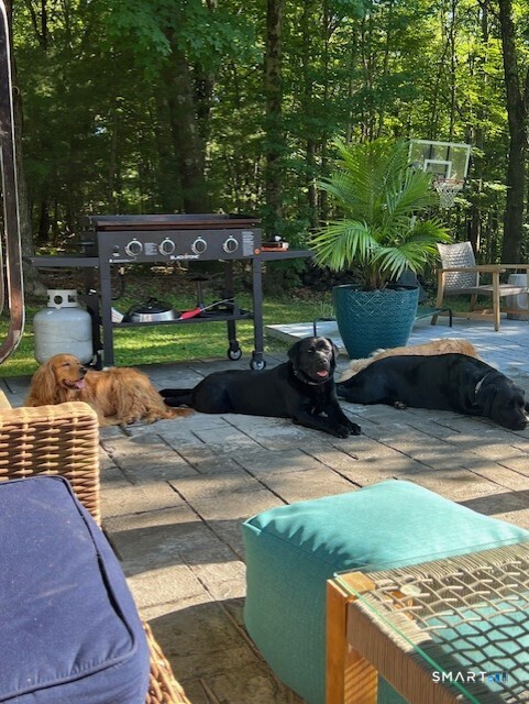 14 Meadow Crest, Woodbury, 06798, 3 Bedrooms Bedrooms, 0 ,1 BathroomBathrooms,Single Family For Sale,For Sale,Meadow Crest,0,24149855