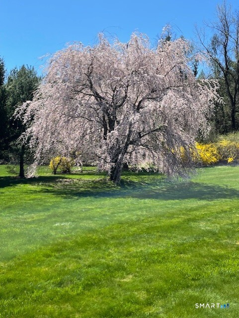 Homes for sale in Hamden, CT | 11 Nature Trl, Hamden, CT 06518 | MLS# 24152461