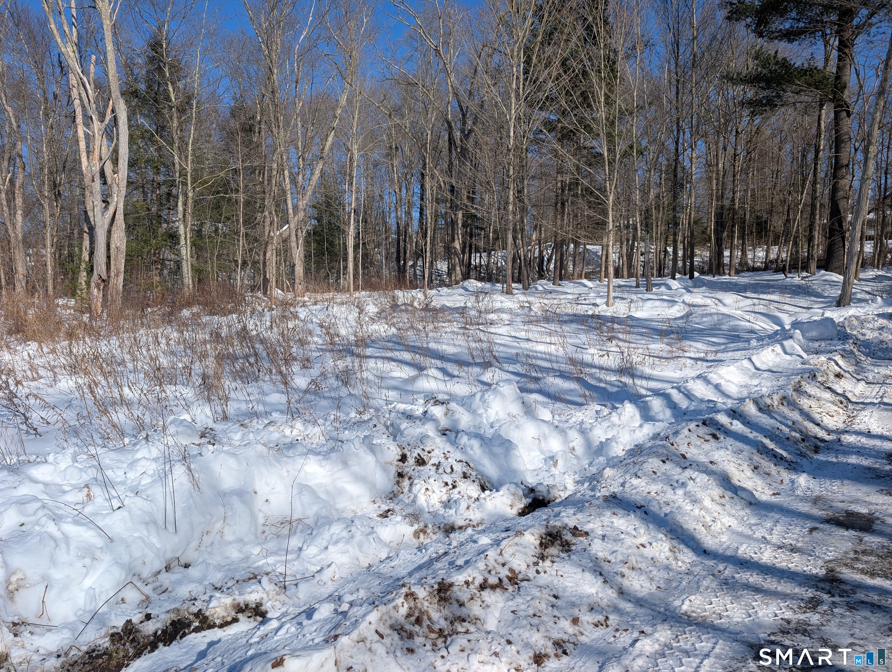 Homes for sale in Torrington, CT | 660 Torringford St, Torrington, CT 06790 | MLS# 24152404