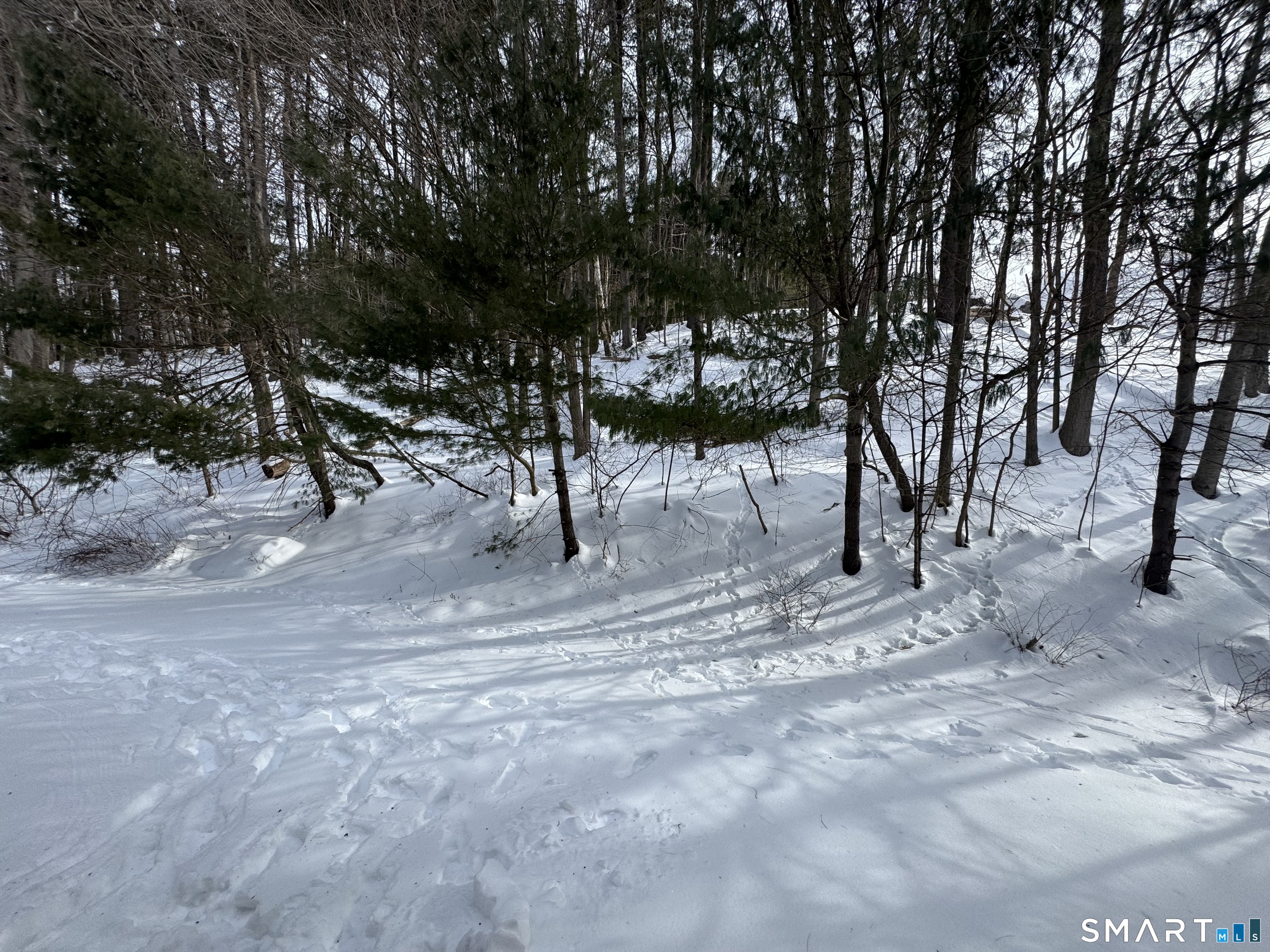 Homes for sale in Naugatuck, CT | 39 Horton Hill Rd #10I, Naugatuck, CT 06770 | MLS# 24153101