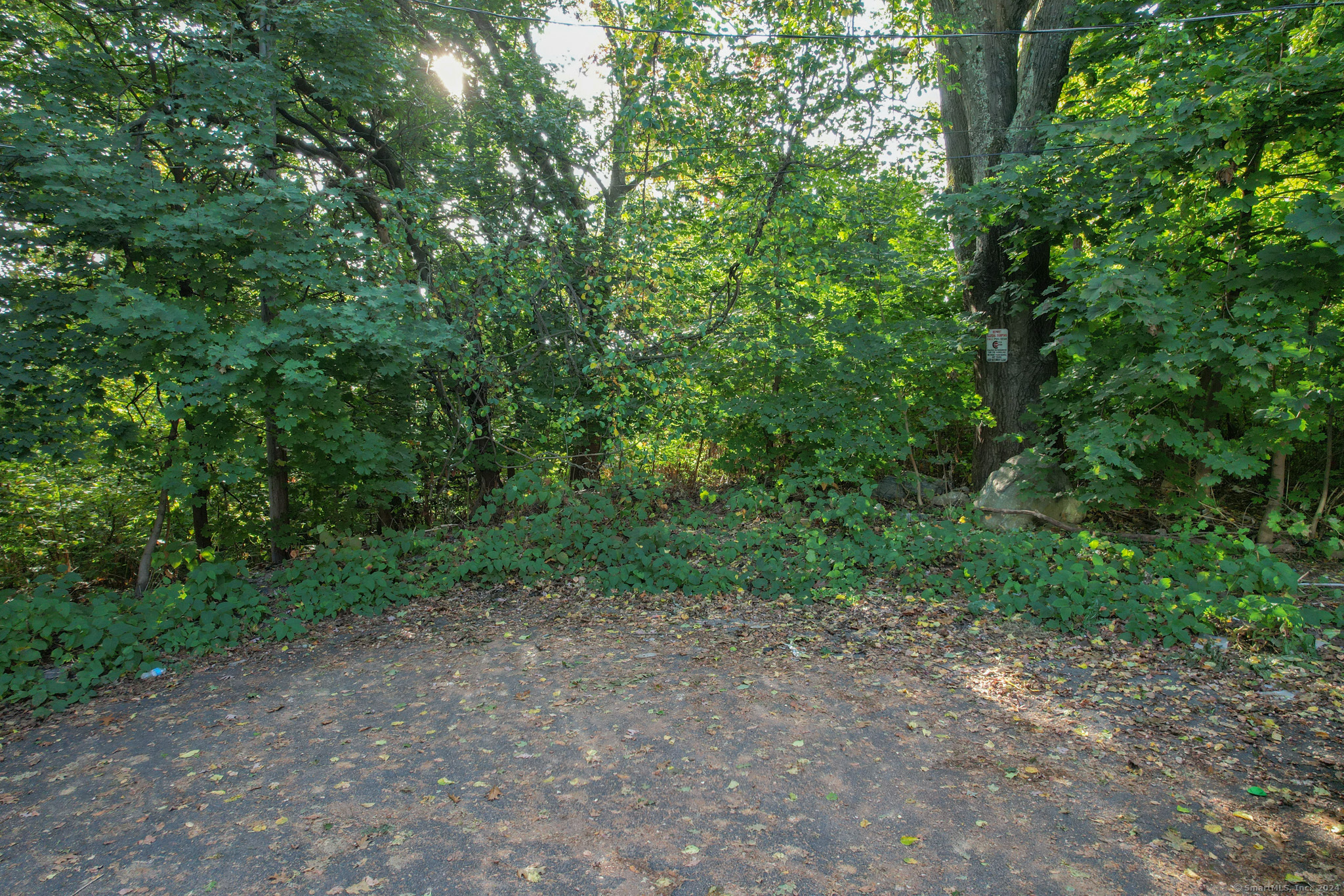 Homes for sale in Waterbury, CT | Hungerford Ave, Waterbury, CT 06701 | MLS# 24153265