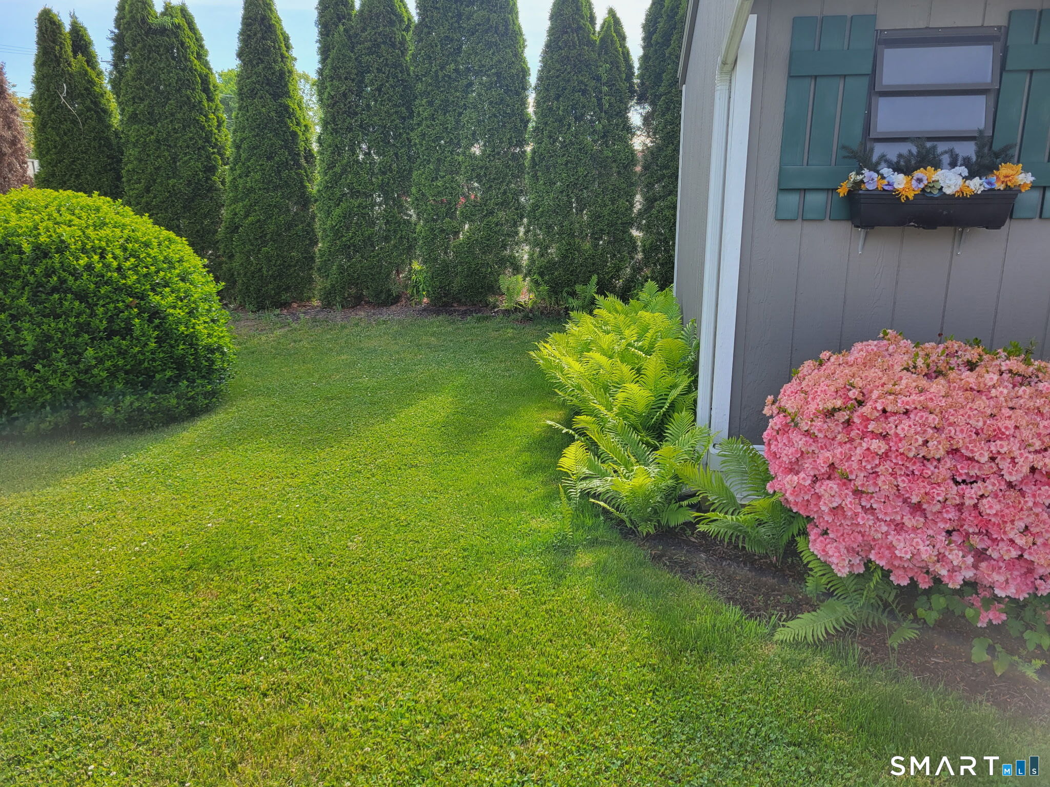 1 Jensen, Southington, 06489, 2 Bedrooms Bedrooms, 0 ,1 BathroomBathrooms,Single Family For Sale,For Sale,Jensen,0,24153544