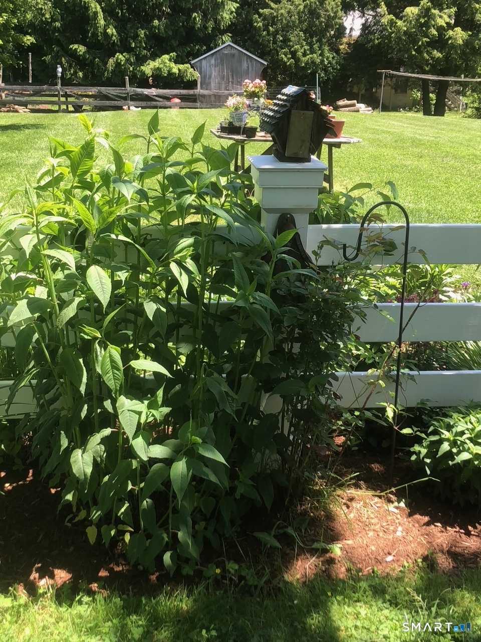 30 Hopyard, East Haddam, 06423, 4 Bedrooms Bedrooms, 0 ,2 BathroomsBathrooms,Residential Rental,For Sale,Hopyard,0,24154560