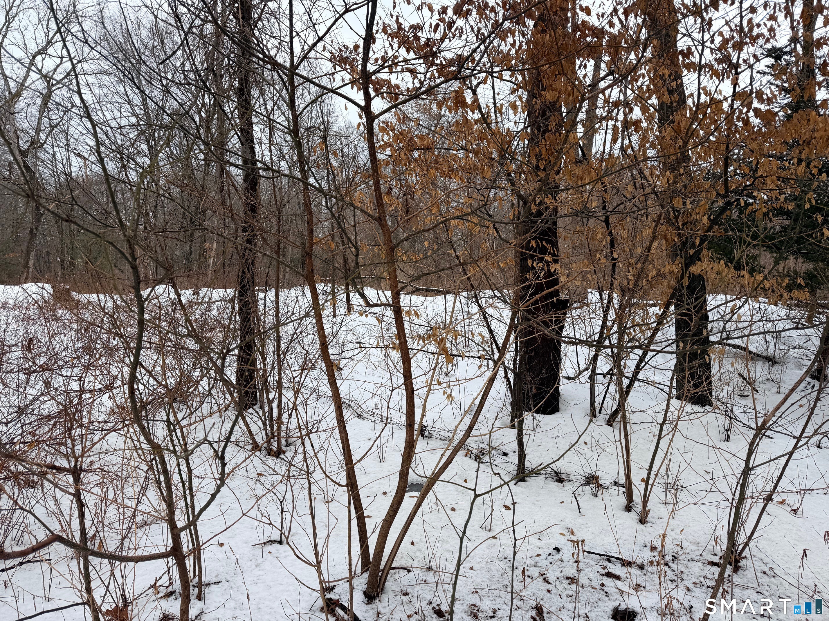 Homes for sale in East Windsor, CT | North Rd, East Windsor, CT 06016 | MLS# 24155576