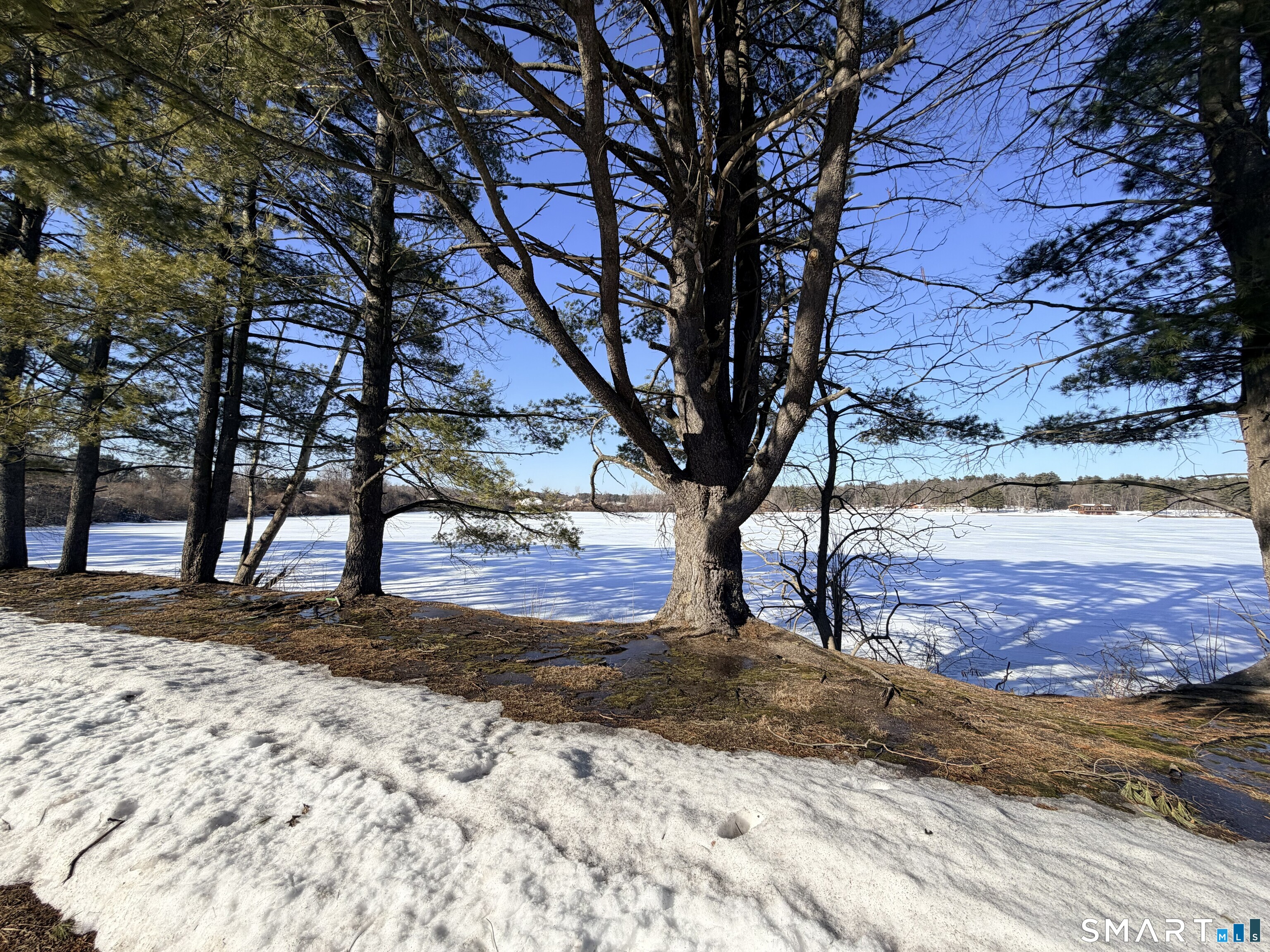 7 Grandview, Farmington, 06032, 2 Bedrooms Bedrooms, 0 ,1 BathroomBathrooms,Residential Rental,For Sale,Grandview,0,24153491