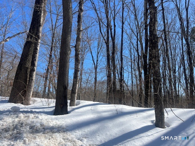 Bebbington, Ashford, 06278, 0 , 0 ,0,Lots And Land For Sale,For Sale,Bebbington,0,24155381