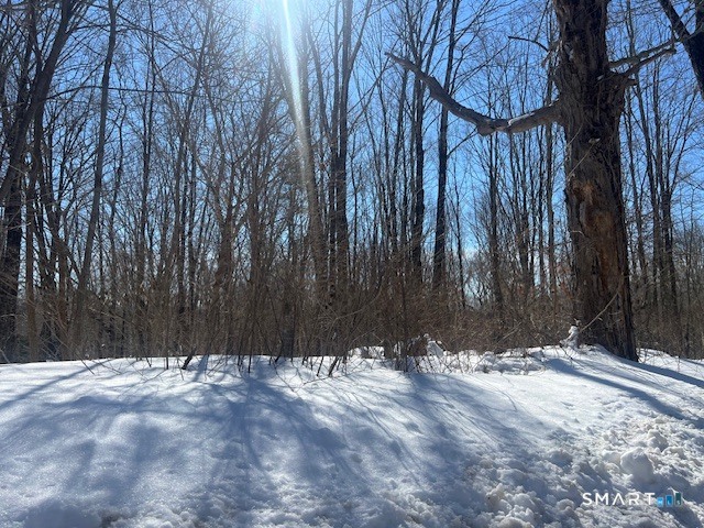 Bebbington, Ashford, 06278, 0 , 0 ,0,Lots And Land For Sale,For Sale,Bebbington,0,24155381