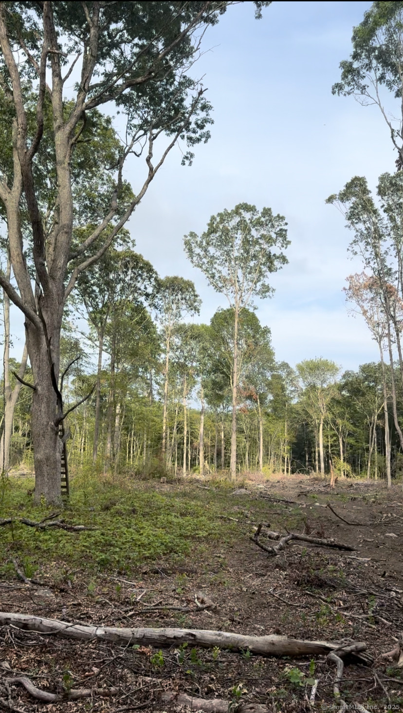 Homes for sale in East Lyme, CT | 223 N Bride Brook Rd, East Lyme, CT 06333 | MLS# 24157339