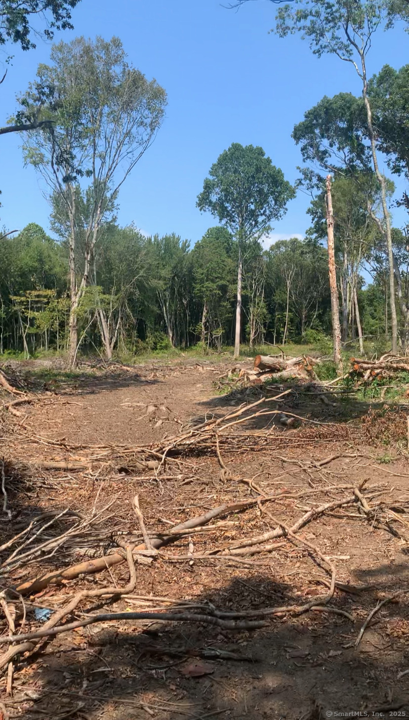 Homes for sale in East Lyme, CT | 223 N Bride Brook Rd, East Lyme, CT 06333 | MLS# 24157339