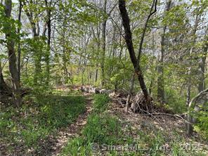 Homes for sale in Watertown, CT | Saugus Ave, Watertown, CT 06795 | MLS# 24157644