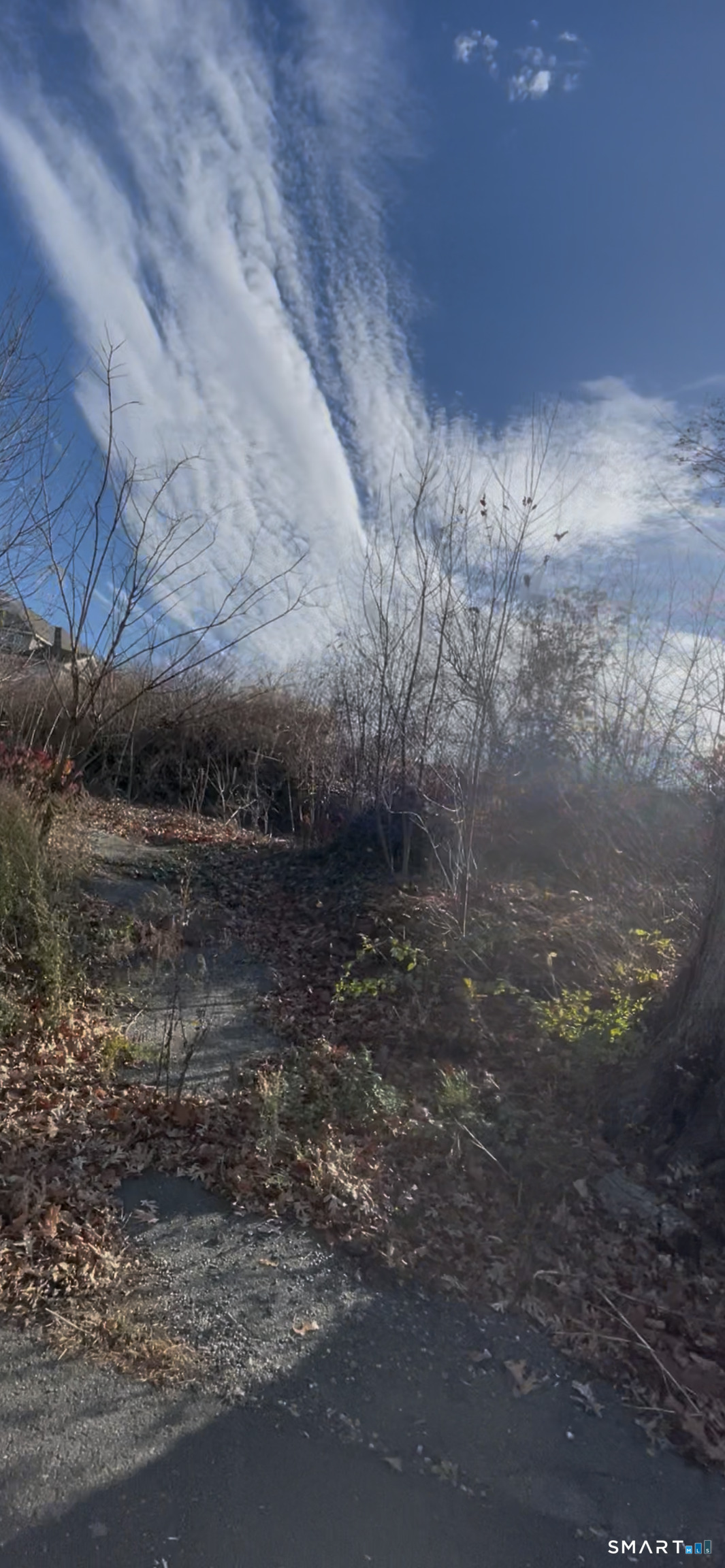 Homes for sale in Stratford, CT | 52 Circle Dr, Stratford, CT 06614 | MLS# 24140051