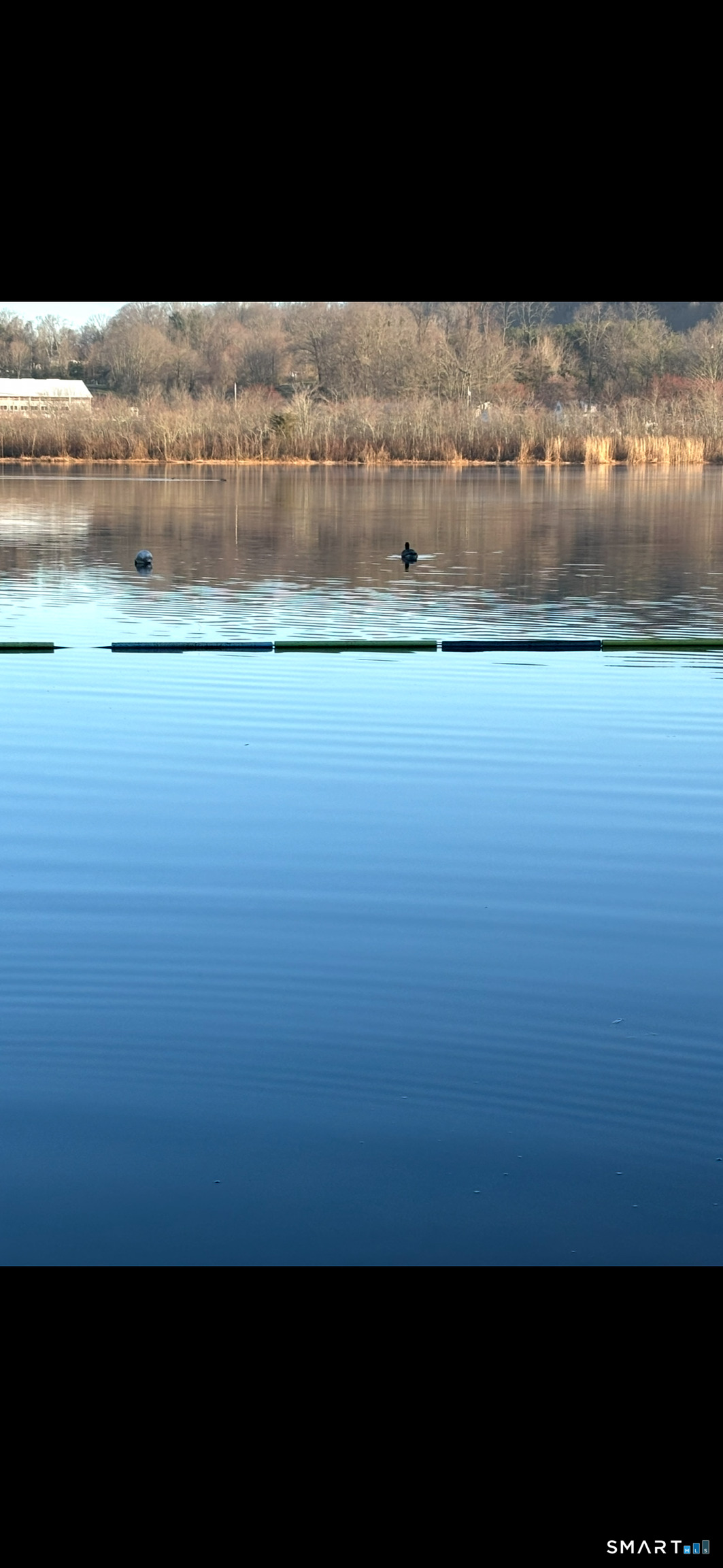 Homes for sale in North Branford, CT | 219 Twin Lakes Rd #APT A, North Branford, CT 06471 | MLS# 24133902