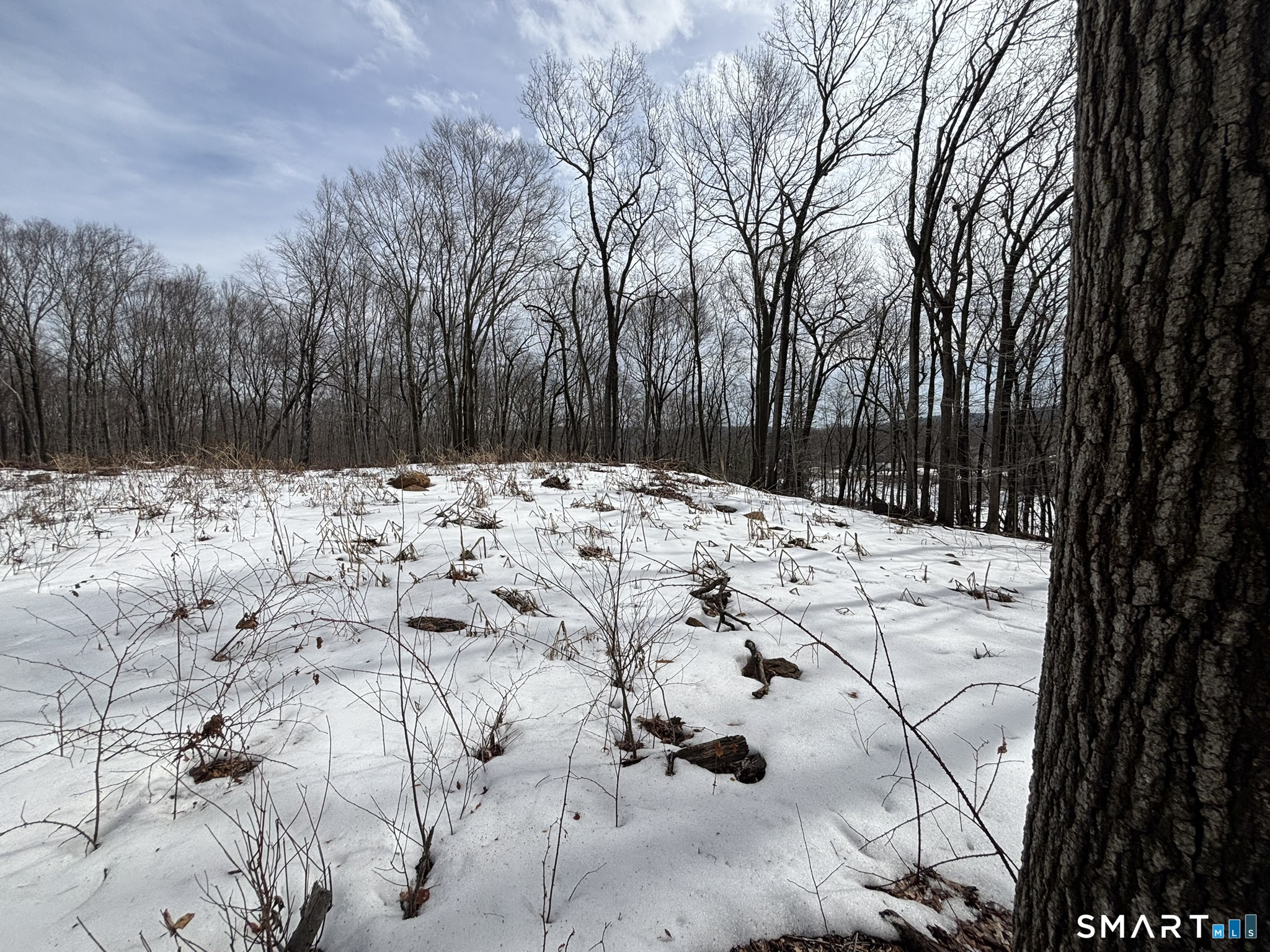 Homes for sale in Waterbury, CT | 40 Running Brook Rd, Waterbury, CT 06704 | MLS# 24158241