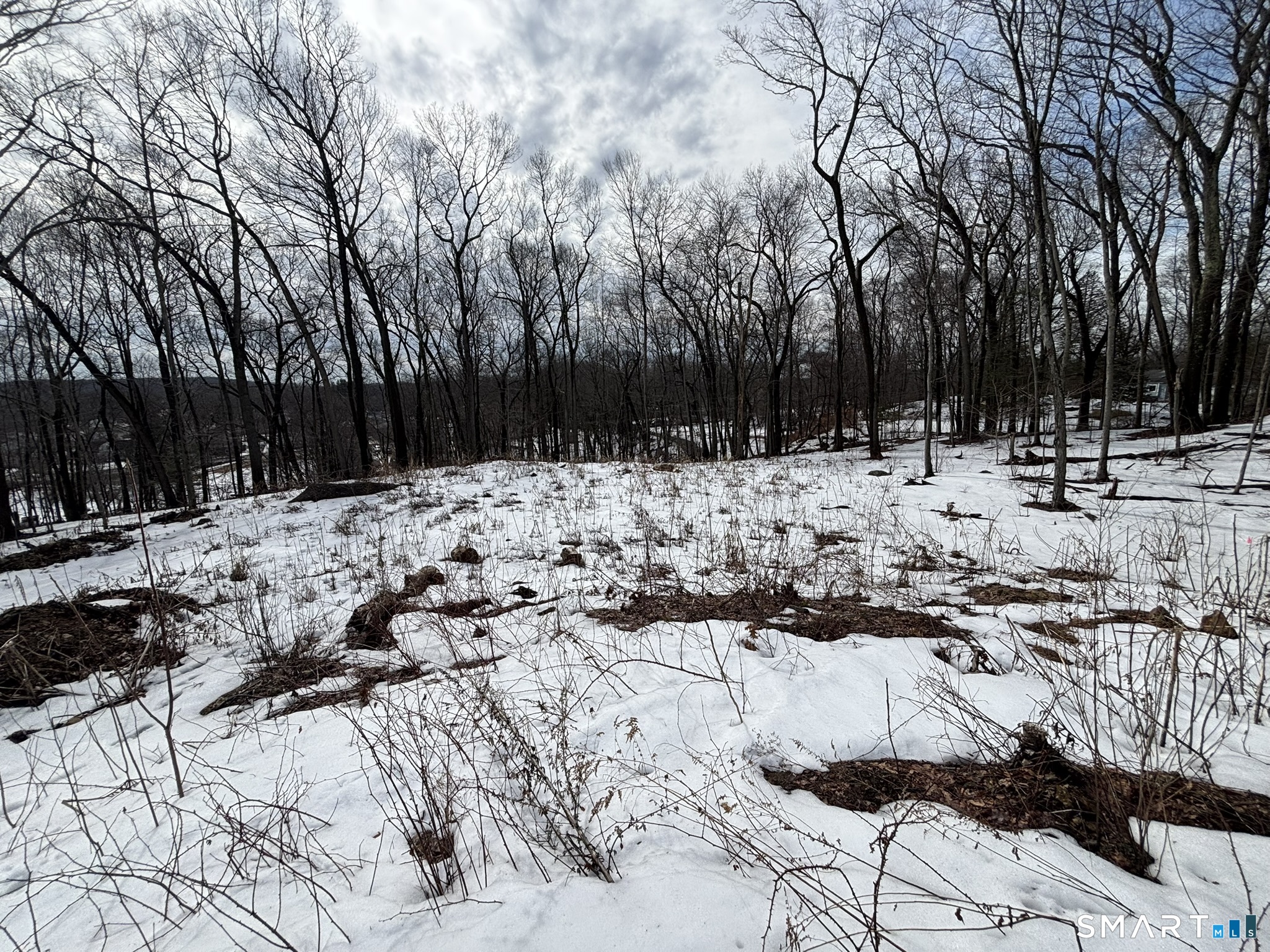 Homes for sale in Waterbury, CT | 40 Running Brook Rd, Waterbury, CT 06704 | MLS# 24158241