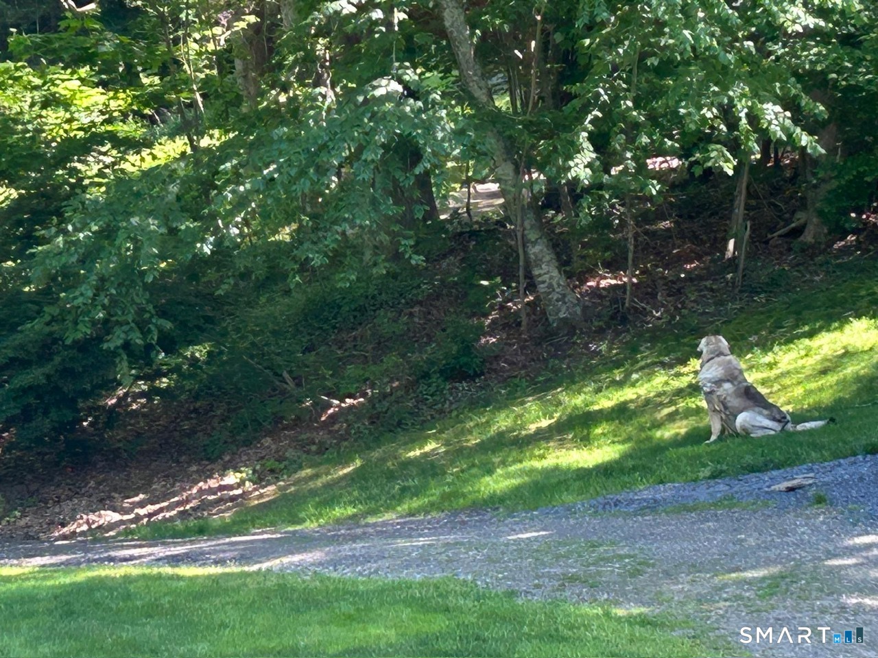 Homes for sale in Westbrook, CT | 85 Mcveagh Rd, Westbrook, CT 06498 | MLS# 24138789